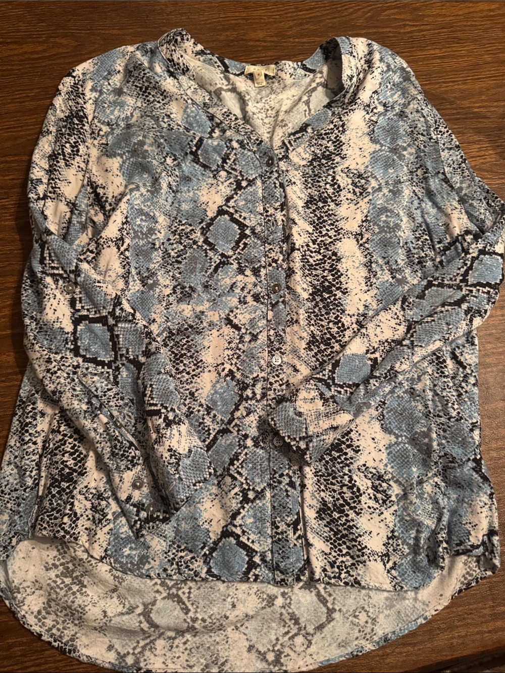 Soft Joie Blue and Cream Snake-Print Button-Front Blouse